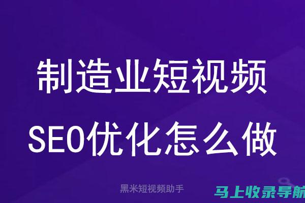 短视频SEO公司实战案例：成功背后的策略与技巧